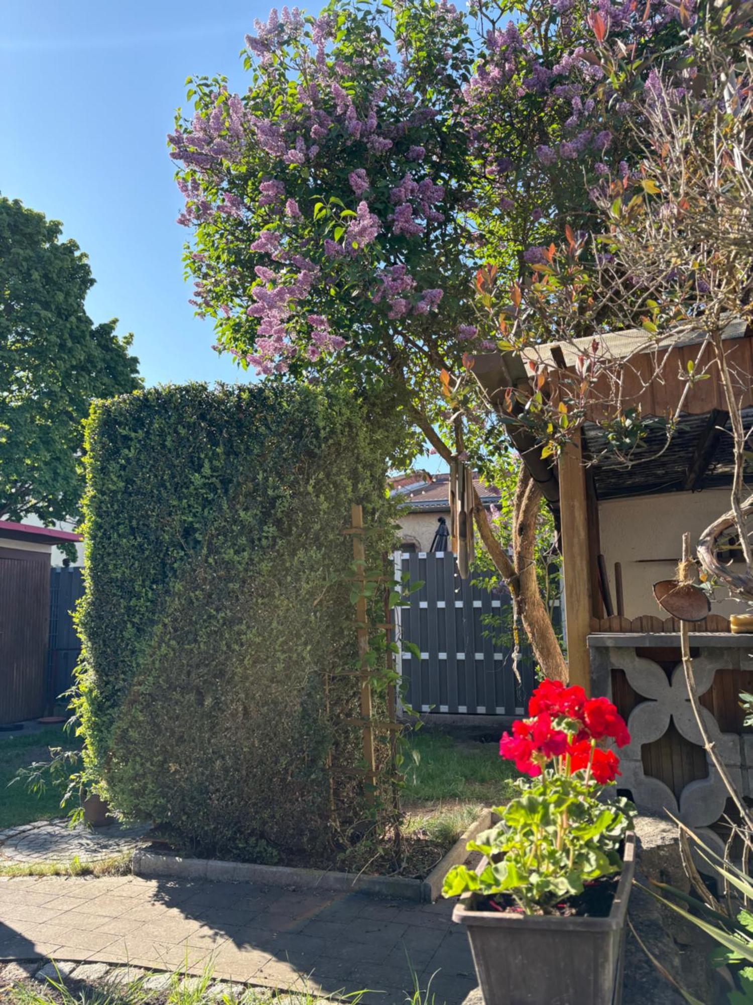 Haus Hannah Meiningen Eksteriør billede
